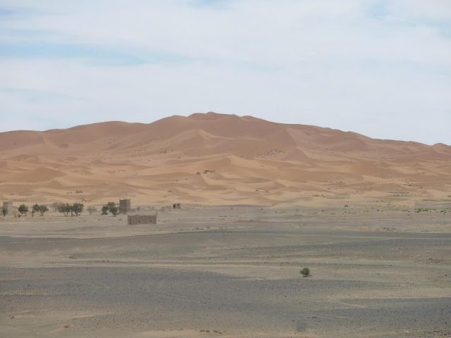 Teil 5: Wüste Begeisterung